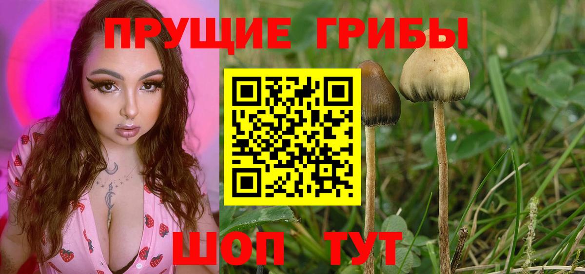 Галлюциногенные грибы MAGIC MUSHROOMS Томск