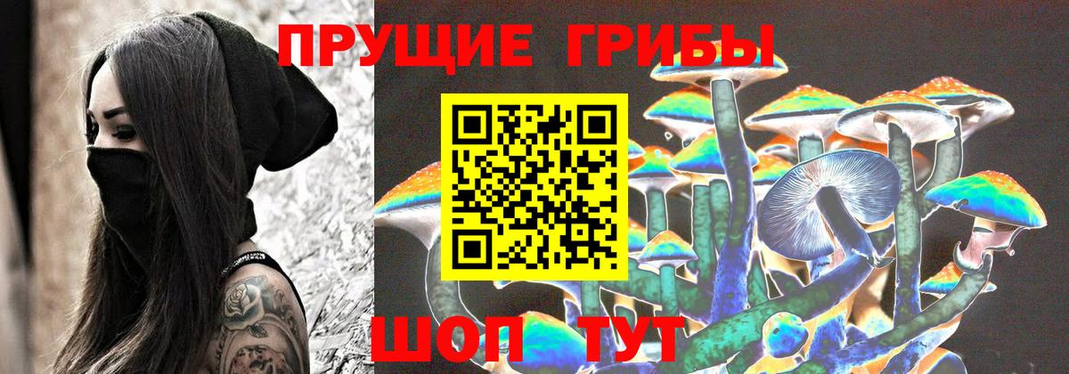 Томск  Псилоцибиновые грибы прущие грибы  Вход с VPN  Галлюциногенные грибы ЛСД 